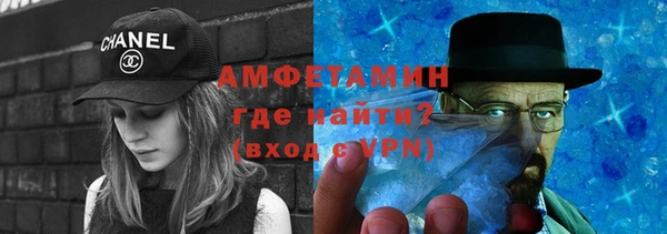 гидра Няндома