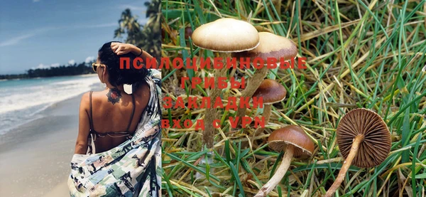mdma Новозыбков