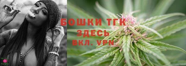 стаф Нефтегорск