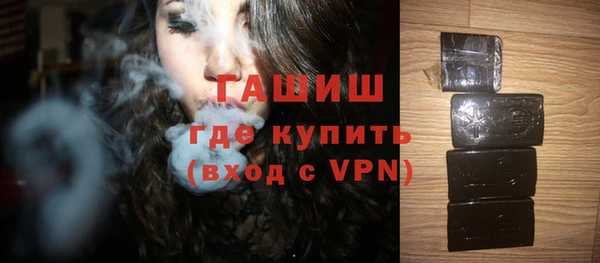 гидра Няндома