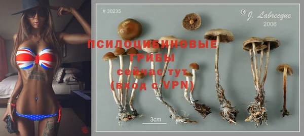 гидра Няндома