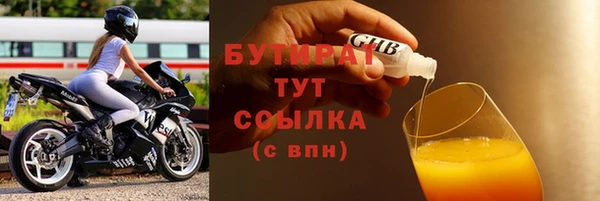 гидра Няндома