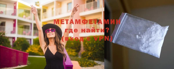 гидра Няндома