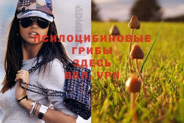 мяу мяу мука Новокубанск