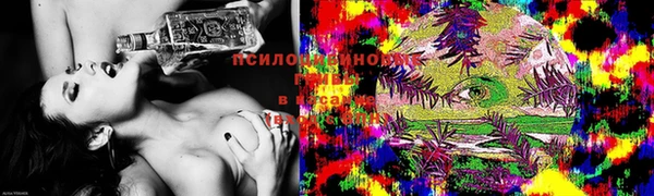 мяу мяу мука Новокубанск
