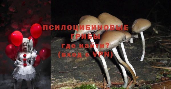 тгк Нефтекумск