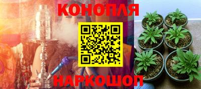 PSILOCYBIN Волжск