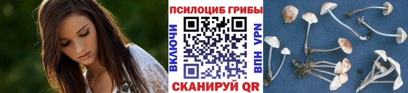 Псилоцибиновые грибы Magic Shrooms Кинель