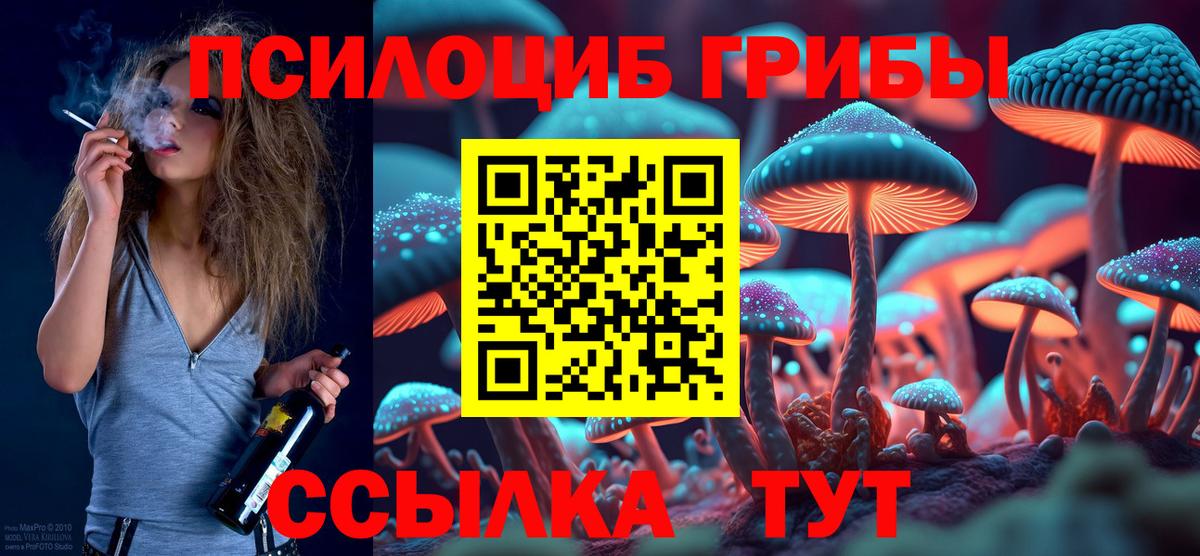 Галлюциногенные грибы Psilocybe Кинель