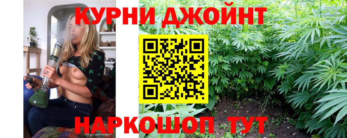 Конопля White Widow  Бошки Шишки Bruce Banner  Вход с VPN  Бошки марихуана сатива  Кинель  Бошки марихуана LSD WEED 